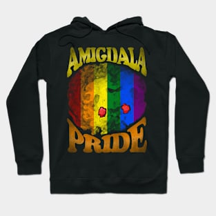 Amigdala Pride Vintage Hoodie